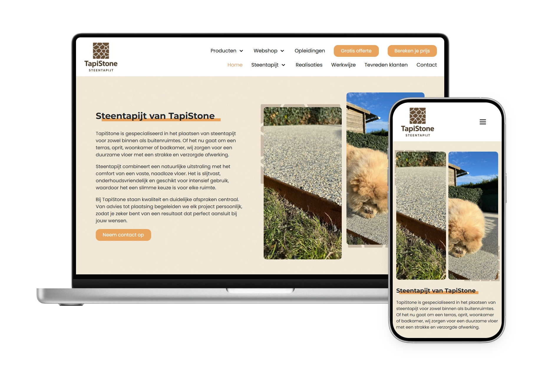Webshop TapiStone